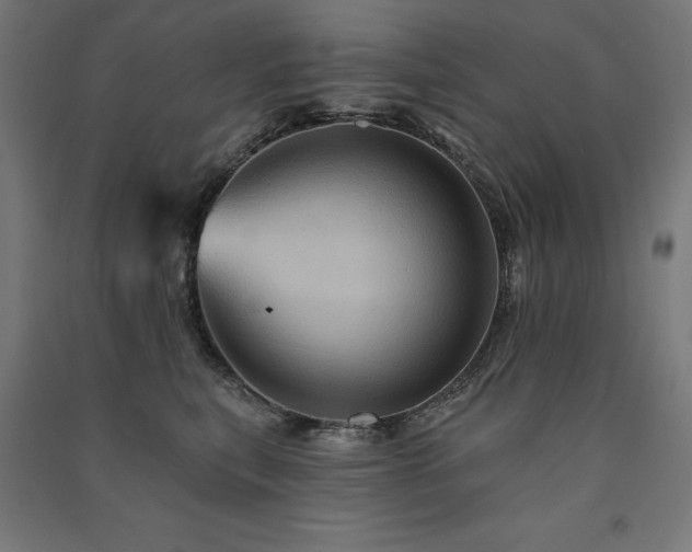X0000091580567200708201210