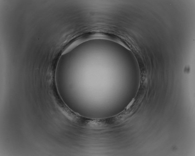 X0000091580568200708201210