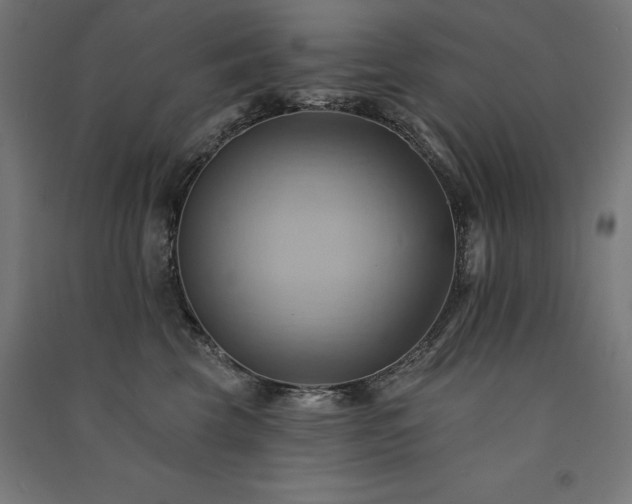 X0000091580569200708201210