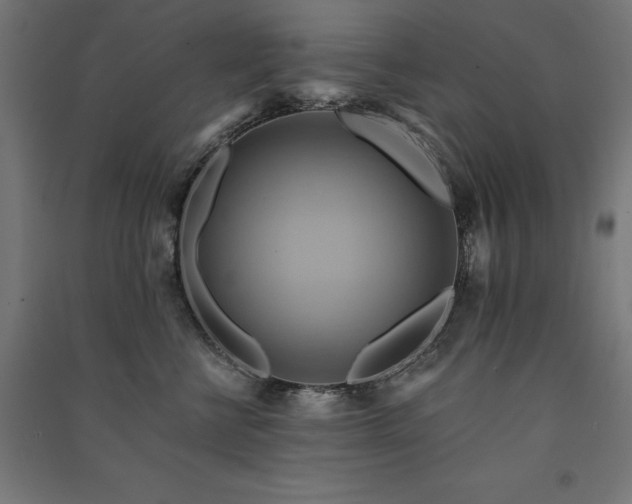 X0000091580570200708201210