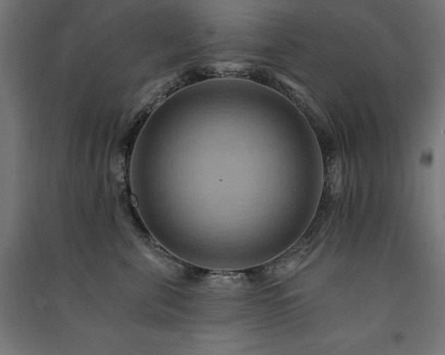 X0000091580571200708201210