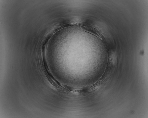 X0000091580572200708201210