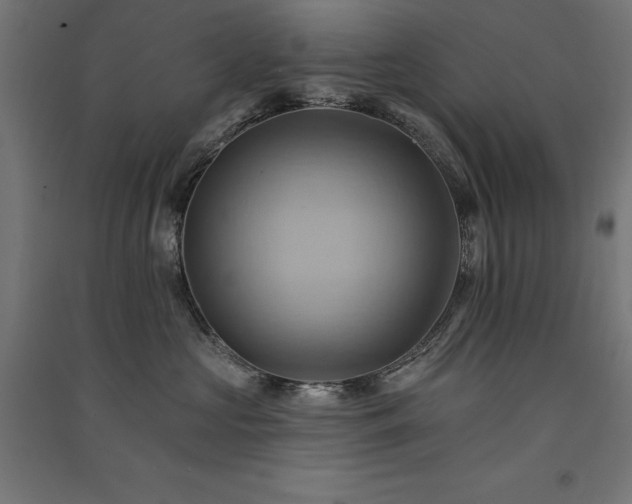 X0000091580573200708201210