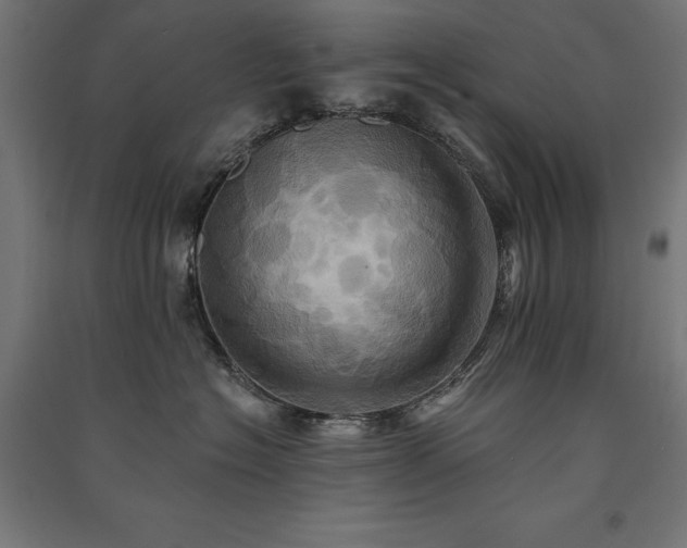X0000091580574200708201210