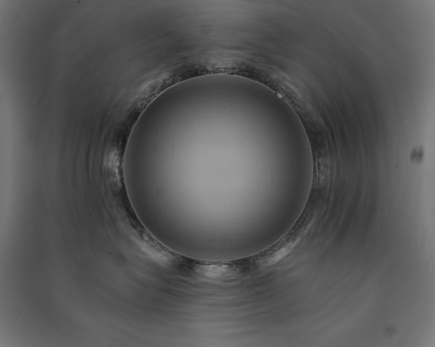 X0000091580575200708201210
