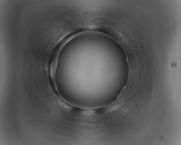 X0000091580576200708201210