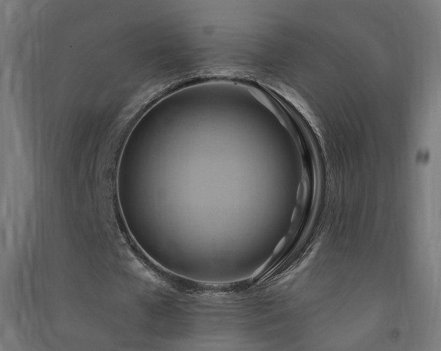 X0000091580577200708201210