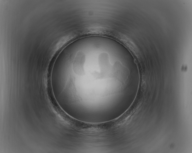 X0000091580578200708201210