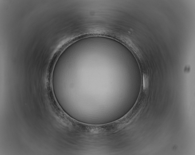 X0000091580579200708201210