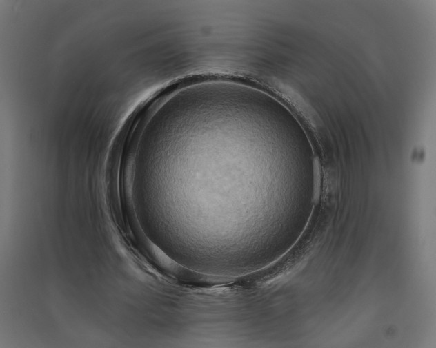 X0000091580580200708201210