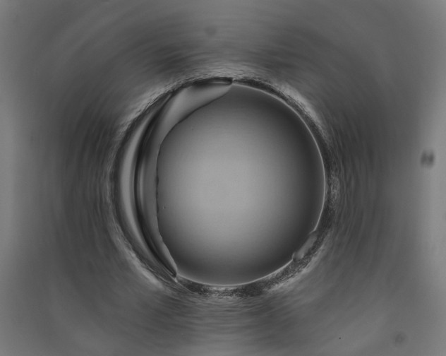 X0000091580581200708201209
