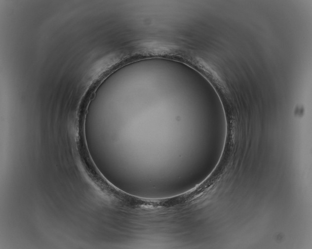 X0000091580582200708201209