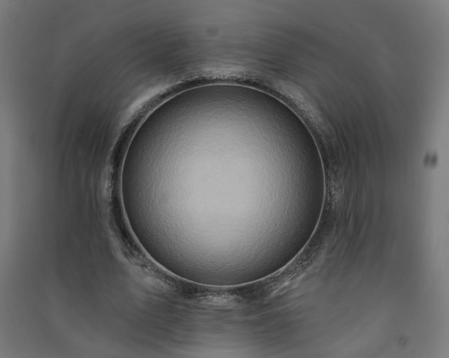 X0000091580583200708201209