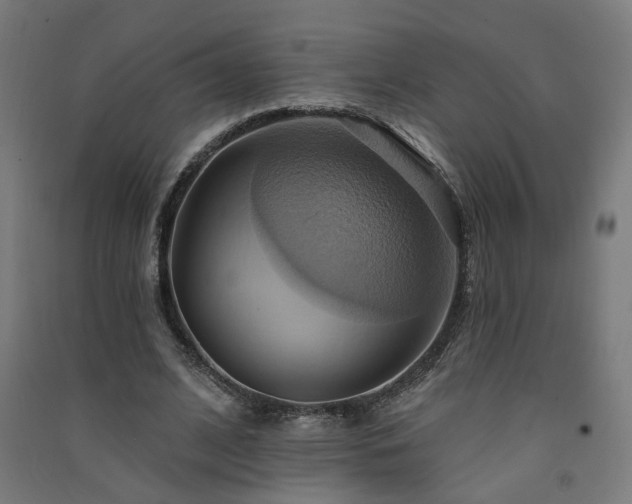 X0000091580584200708201209