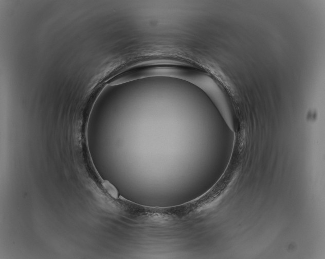 X0000091580585200708201209