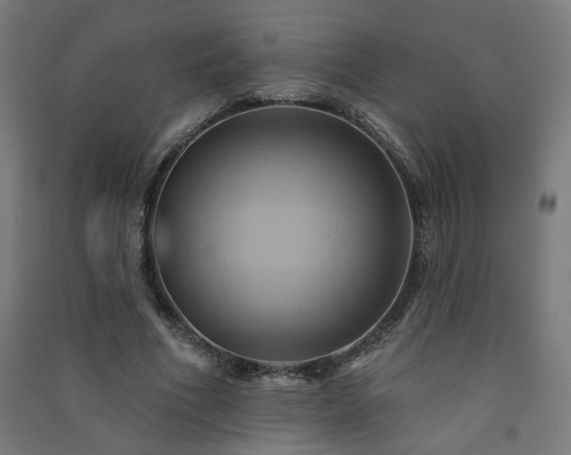 X0000091580586200708201209
