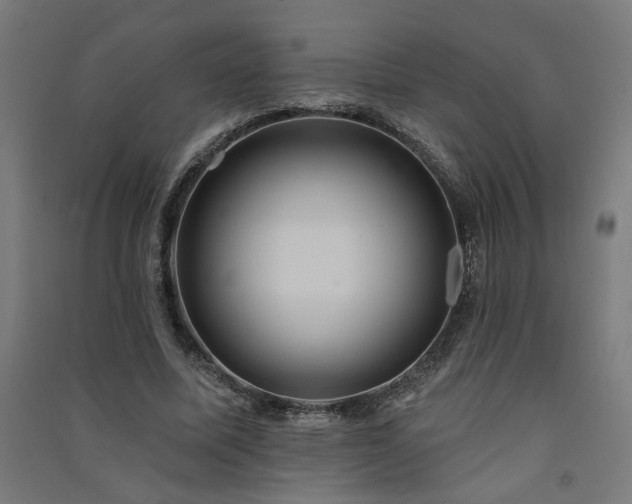 X0000091580587200708201209