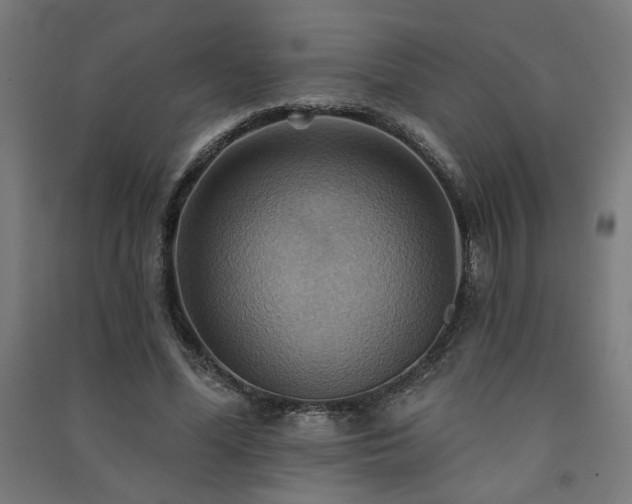 X0000091580588200708201209