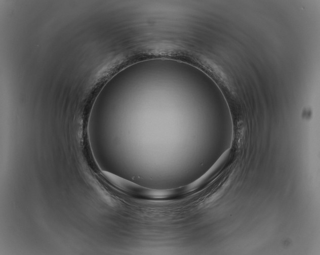 X0000091580589200708201209