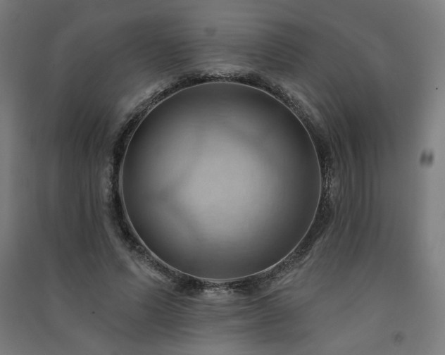 X0000091580591200708201209