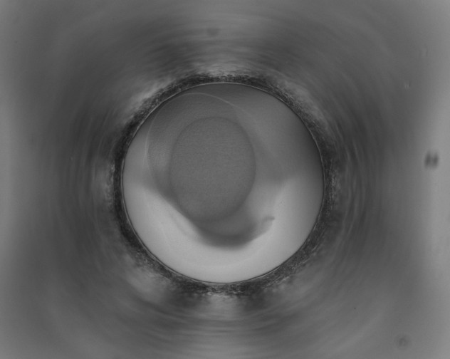 X0000091580592200708201209