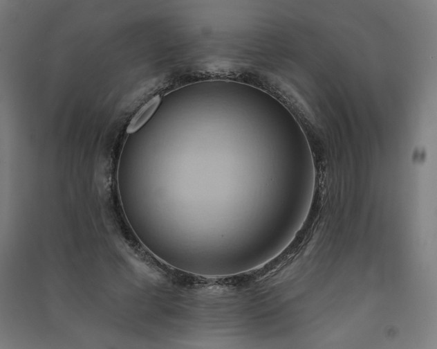 X0000091580593200708201209