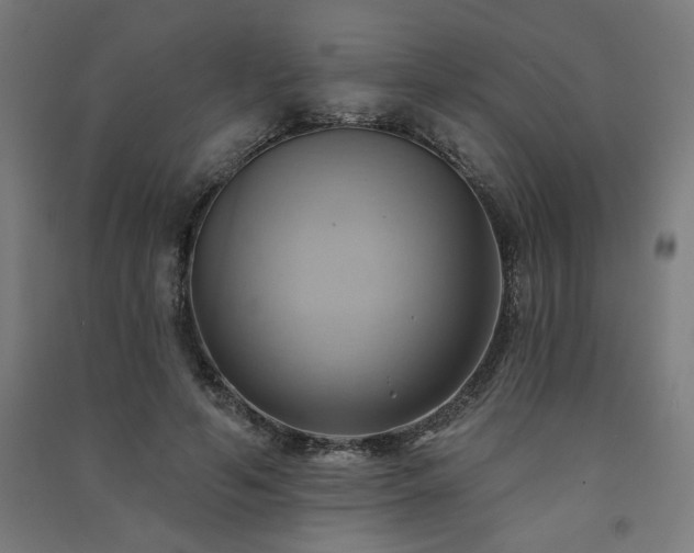 X0000091580594200708201209