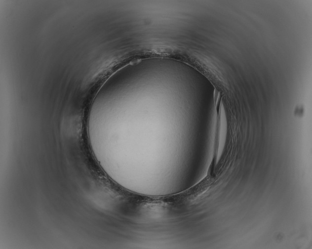 X0000091580595200708201209