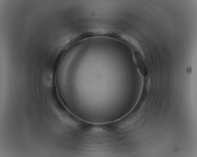 X0000091580596200708201209