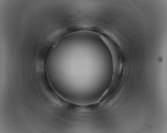 X0000091580597200708201209