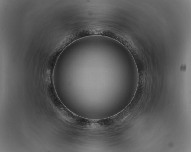 X0000091580598200708201209