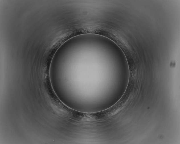 X0000091580599200708201209