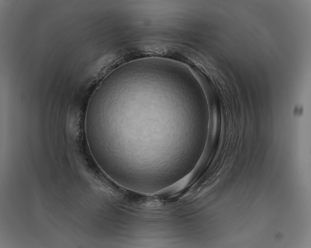 X0000091580600200708201209