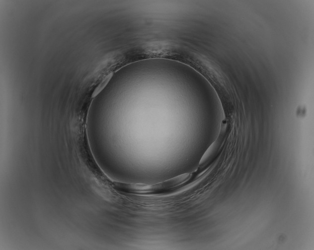 X0000091580601200708201209