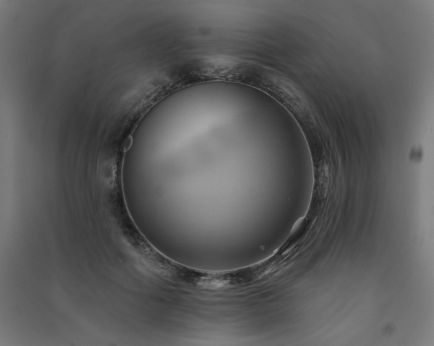 X0000091580602200708201209
