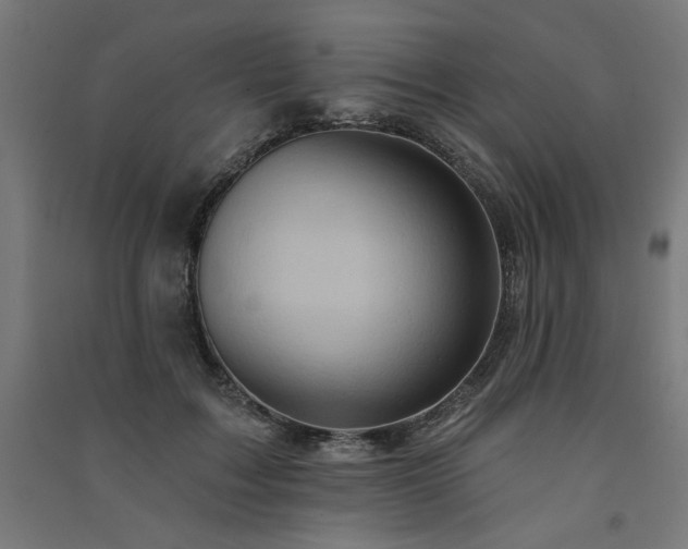 X0000091580603200708201209