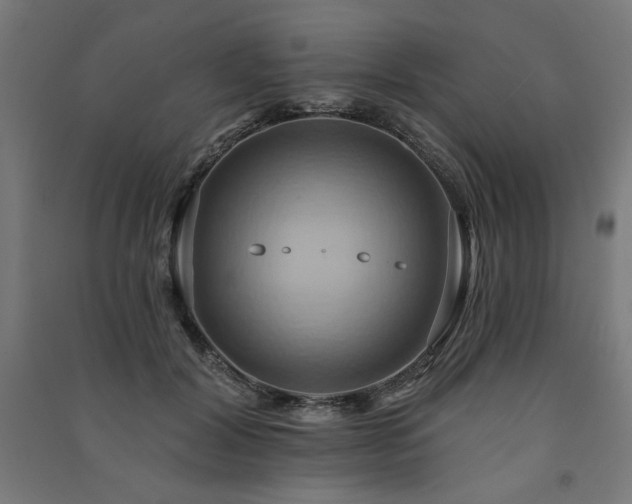 X0000091580604200708201209