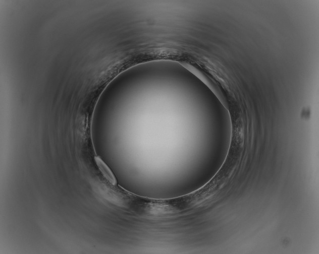X0000091580605200708201209