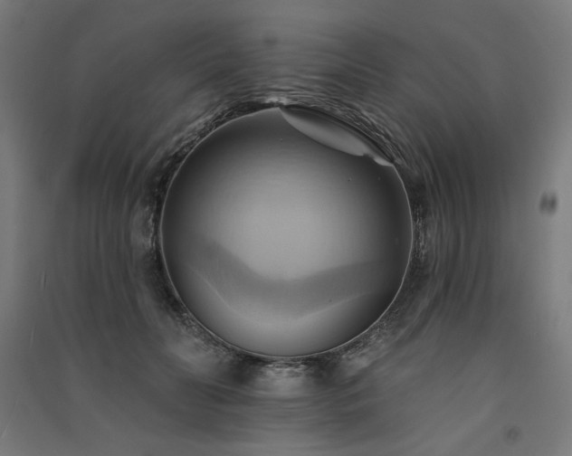 X0000091580606200708201209