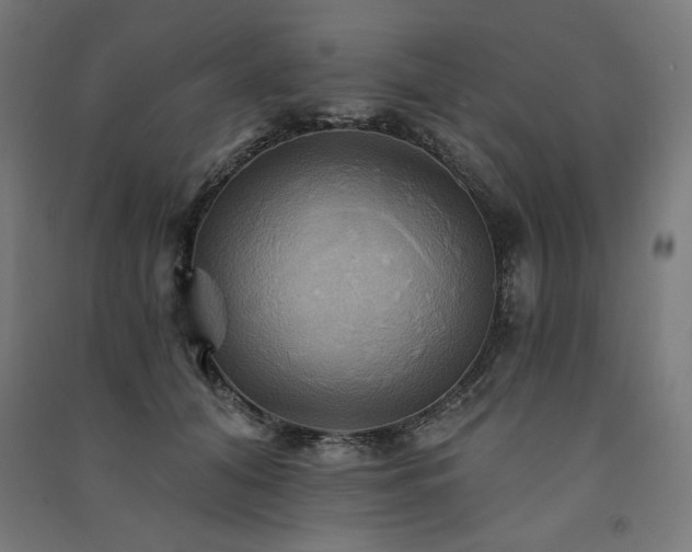 X0000091580608200708201209