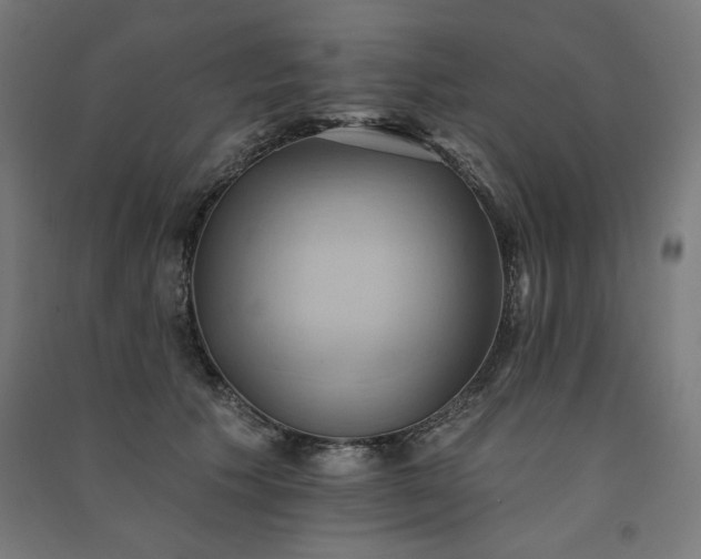 X0000091580609200708201209