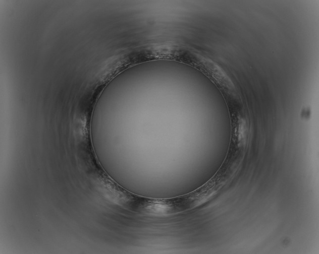 X0000091580610200708201209