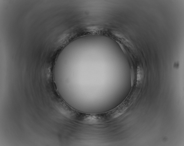 X0000091580611200708201209