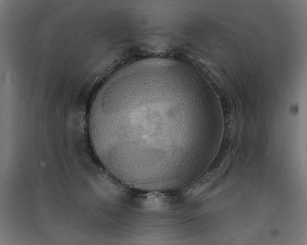 X0000091580612200708201209