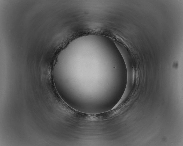 X0000091580613200708201209