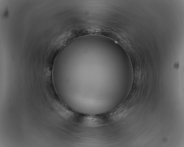 X0000091580614200708201209