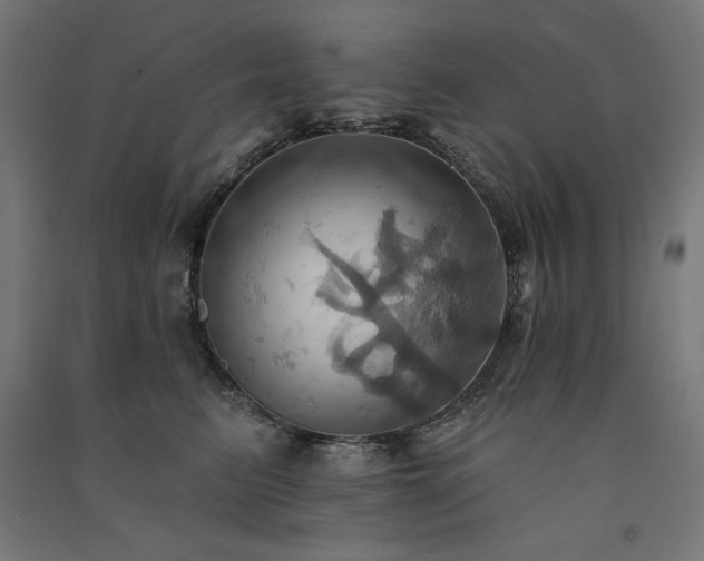 X0000091580615200708201209