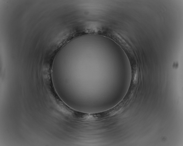 X0000091580616200708201209