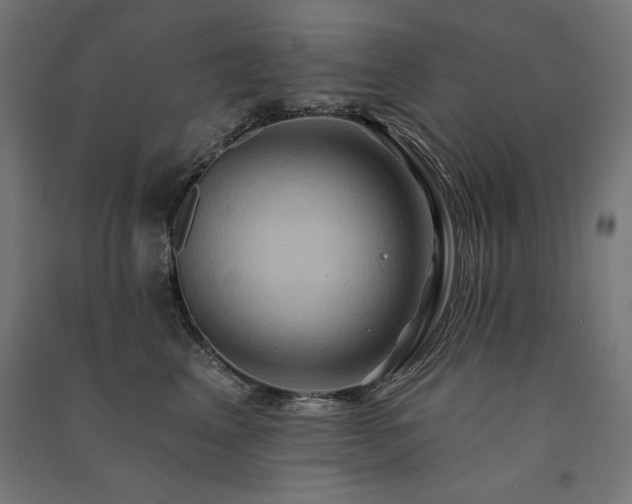 X0000091580617200708201209