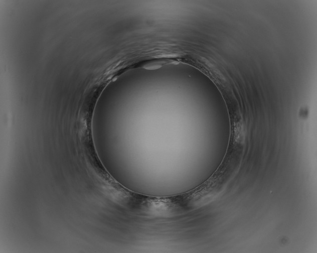 X0000091580618200708201209
